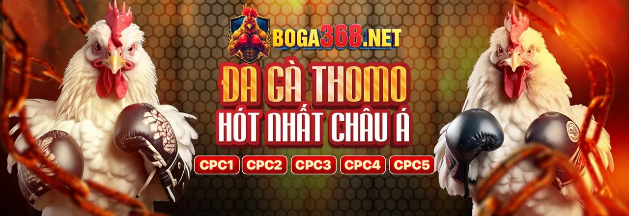 Sân đấu đá gà trực tuyến 8win55 Nổ Hũ